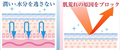t@Yxr[̓